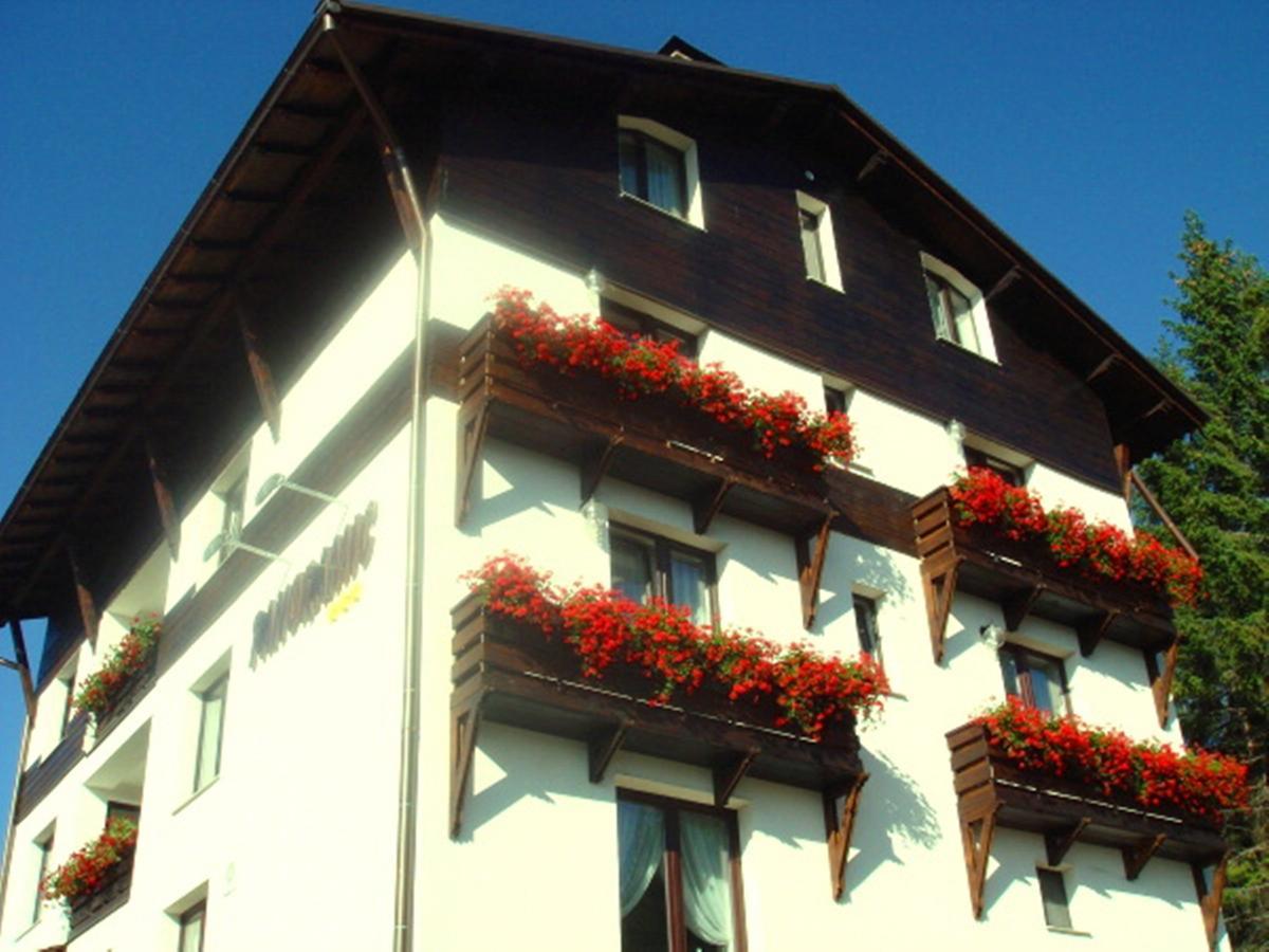 Pensiunea Panoramic Vartop Exterior photo